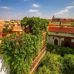 Dombaraka *** Marrakesch